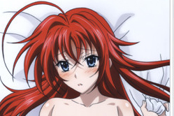 High School DxD - Rias Gremory dakimakura girlfriend body pillow cover